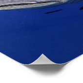 Whale Shark Poster (Ecke)