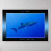 Whale Shark Poster (Vorne)