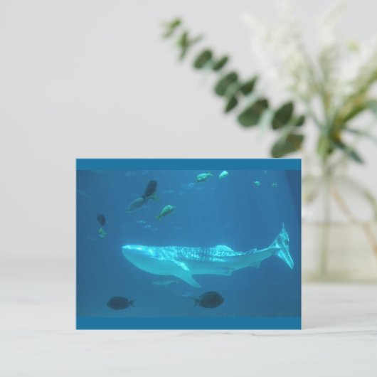 Whale Shark Postkarte (Stehend Vorderseite)