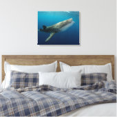 Whale Shark Schwimmen Leinwanddruck (Insitu (Schlafzimmer))