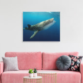 Whale Shark Schwimmen Leinwanddruck (Insitu (Wohnzimmer))