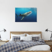 Whale Shark Schwimmen Leinwanddruck (Insitu (Schlafzimmer))