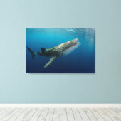 Whale Shark Schwimmen Leinwanddruck (Insitu (Holzboden))
