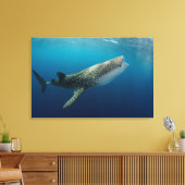 Whale Shark Schwimmen Leinwanddruck (Insitu (Wohnzimmer))