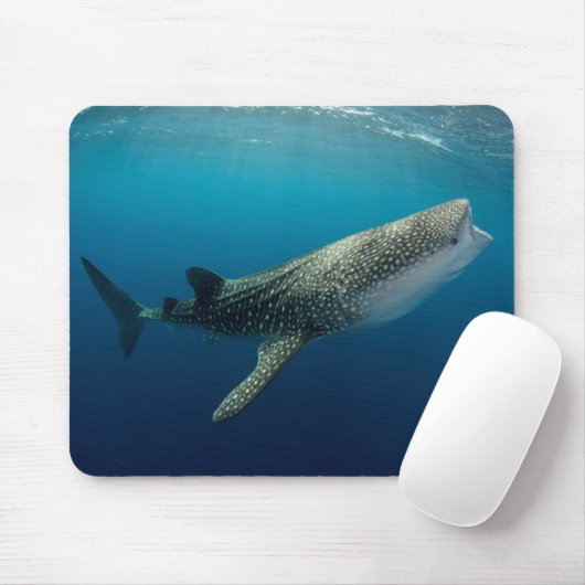 Whale Shark Schwimmen Mousepad (Mit Mouse)