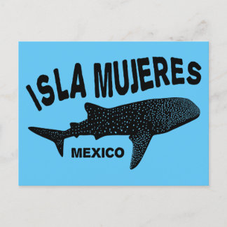 Whale Shark Scuba Diving | Isla Mujeres Postkarte