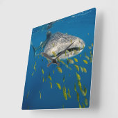 Whale Shark with fish, Indonesia Quadratische Wanduhr (Winkel)