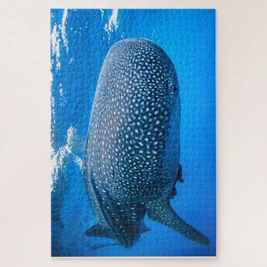 Whale Sharks Jigsaw Puzzle (Vertikal)