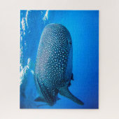 Whale Sharks Puzzle (Vertikal)