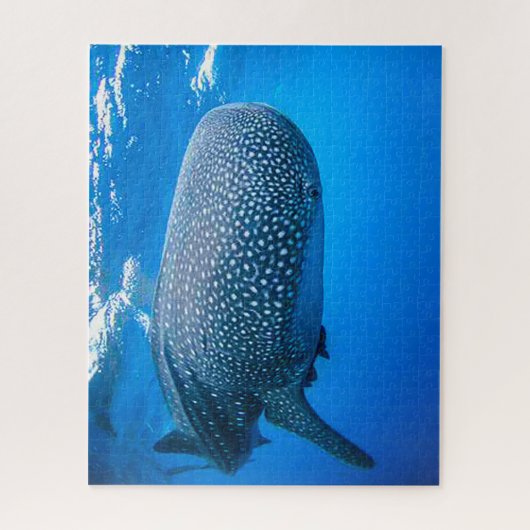 Whale Sharks Puzzle (Vertikal)