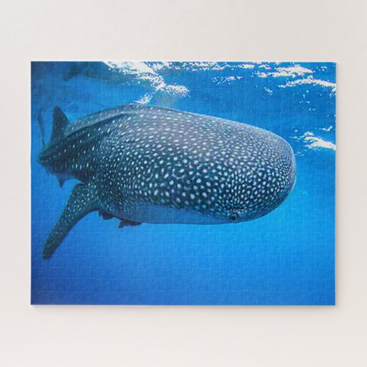 Whale Sharks Puzzle (Horizontal)