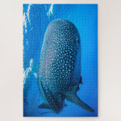 Whale Sharks Puzzle (Vertikal)