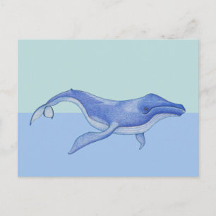 Whale solo Postcard Postkarte