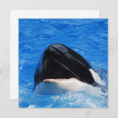 Whale Sounds Einladungen (Vorne/Hinten)