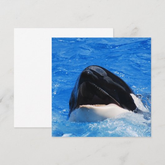 Whale Sounds Einladungen (Vorne/Hinten)