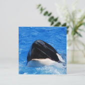 Whale Sounds Einladungen (Stehend Vorderseite)