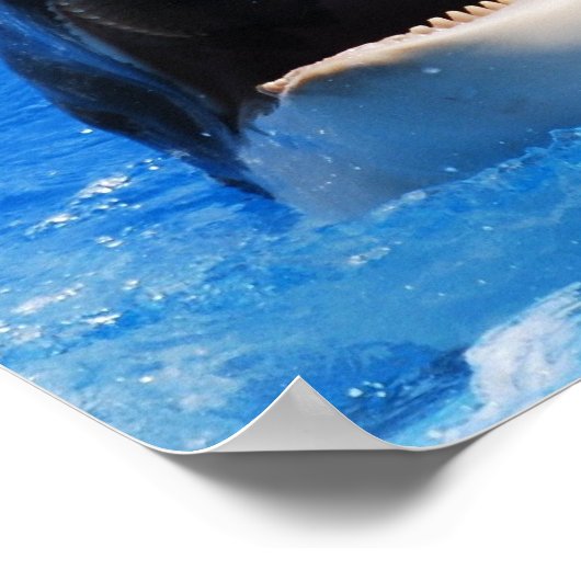 Whale Sounds Poster (Ecke)