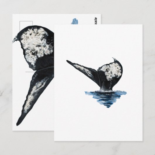 Whale Tail Postkarte (Vorne/Hinten)