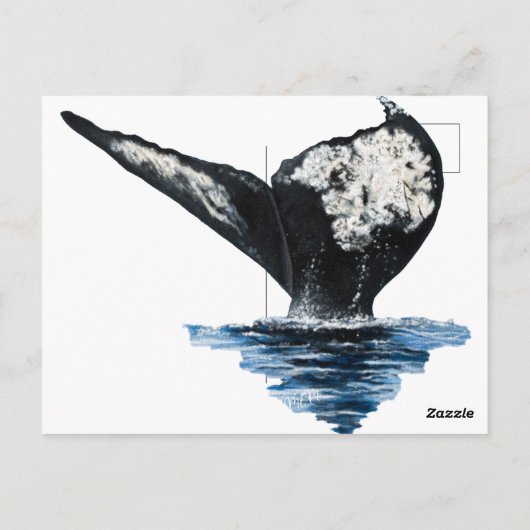 Whale Tail Postkarte (Rückseite)