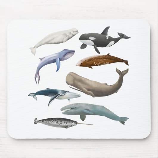 Whale Themed Mousepad (Vorne)