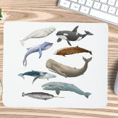 Whale Themed Mousepad