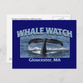 Whale Watch Postkarte (Vorne/Hinten)