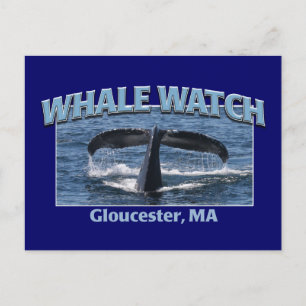 Whale Watch Postkarte