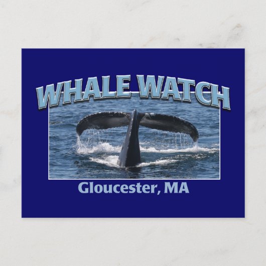 Whale Watch Postkarte (Vorderseite)