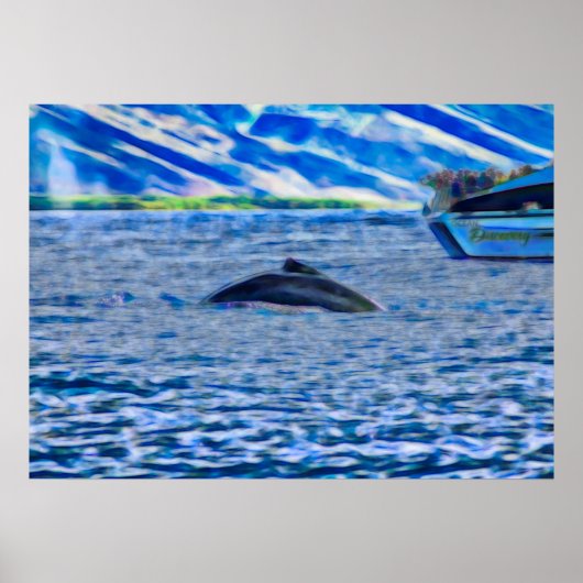 Whale Watching Boat Blue Ocean Poster (Vorne)