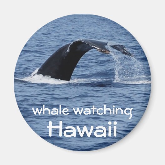 Whale Watching, Hawaii Magnet (Vorne)