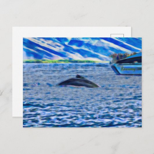 Whale Watching in Hawaii vor Maui Postkarte (Vorne/Hinten)