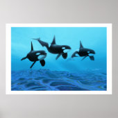 WHALE WORLD  PRINT POSTER (Vorne)