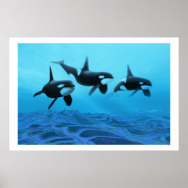 WHALE WORLD  PRINT POSTER