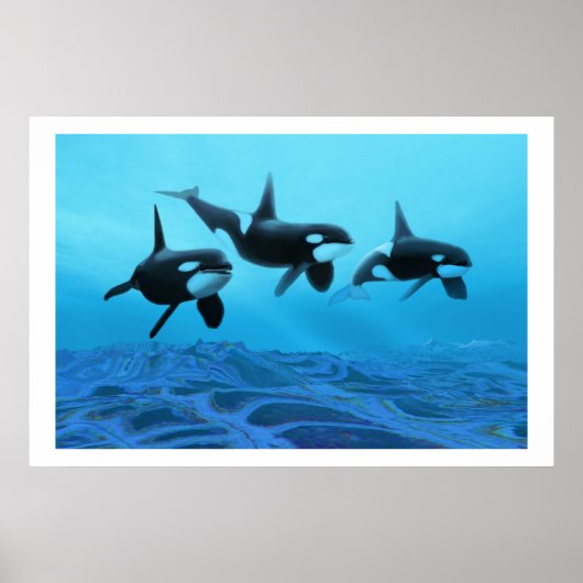 WHALE WORLD  PRINT POSTER (Vorne)