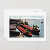 Whalebacks in Belle Isle, Michigan Postkarte (Vorne/Hinten)