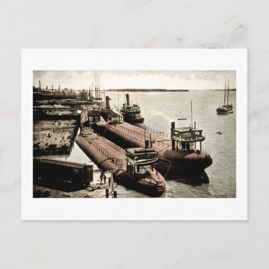 Whalebacks in Belle Isle, Michigan Postkarte (Vorderseite)