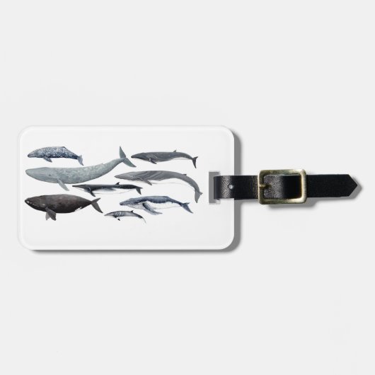 Whales and right whales gepäckanhänger (Vorderseite horizontal)