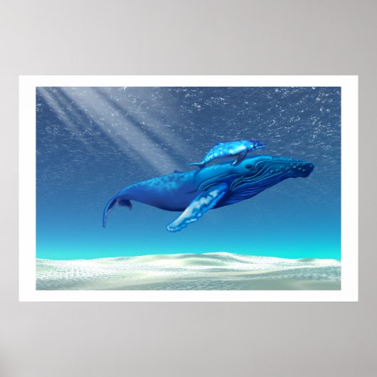 WHALES DRUCKEN POSTER (Vorne)