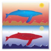 Whales Foto Print (Vorne)