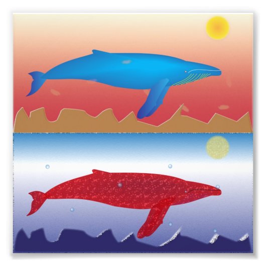 Whales Foto Print (Vorne)