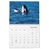 Whales Wall Calendar Kalender (Jan 2027)
