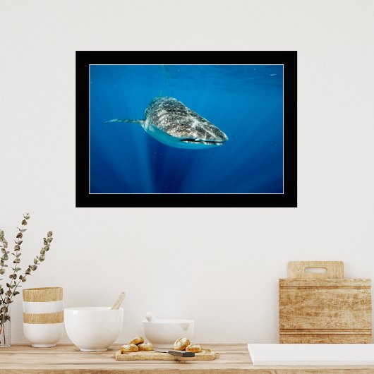 Whaleshark #1 poster (Küche)