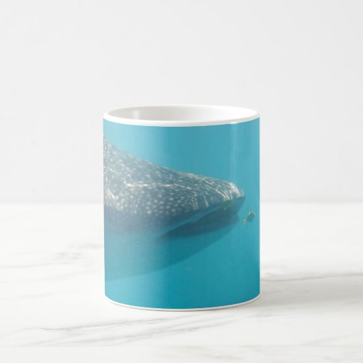 Whaleshark Kaffeetasse (Mittel)