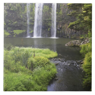 Whangarei Falls, Whangarei, Northland, Neuseeland Fliese