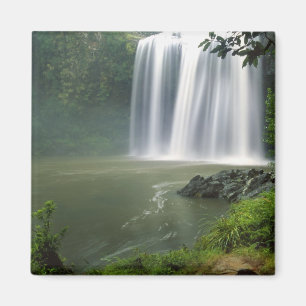 Whangarei Falls, Whangarei, Northland, Neuseeland Magnet