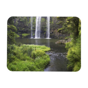 Whangarei Falls, Whangarei, Northland, Neuseeland Magnet