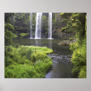 Whangarei Falls, Whangarei, Northland, Neuseeland Poster