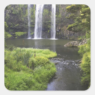 Whangarei Falls, Whangarei, Northland, Neuseeland Quadratischer Aufkleber