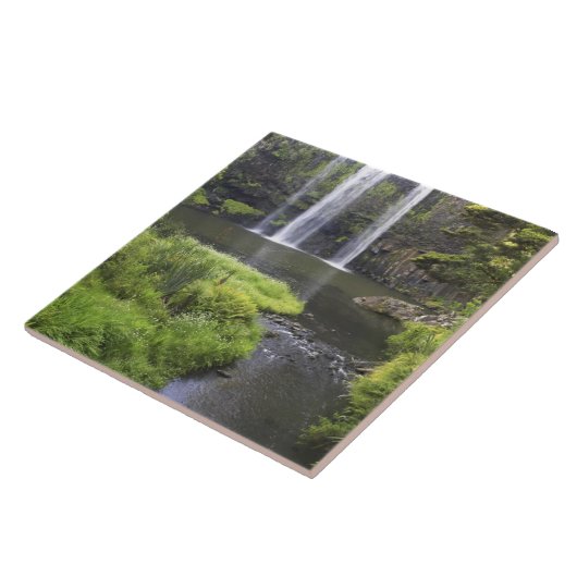 Whangarei Falls, Whangarei, Northland, New 2 Fliese (Seite)