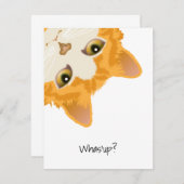 Whas up Orange Upside Down Cat Einladung (Vorne/Hinten)